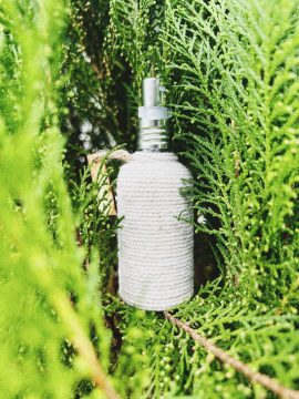 Processed with VSCO with 4 preset Processed with VSCO with 4 preset